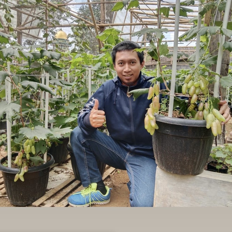 Angga Arief Wicaksono
